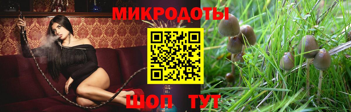Гуково  Псилоцибиновые грибы Psilocybe  Вход с VPN 